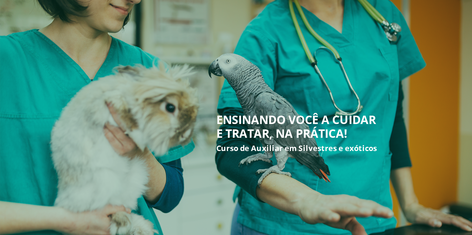 Slide Avet Cursos